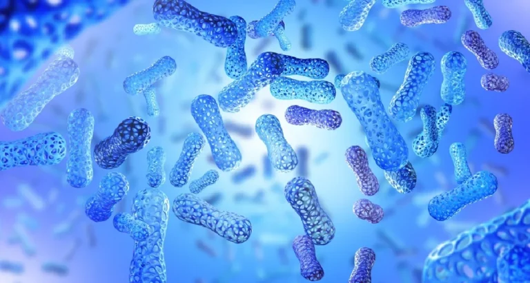 11_Probioticos_1