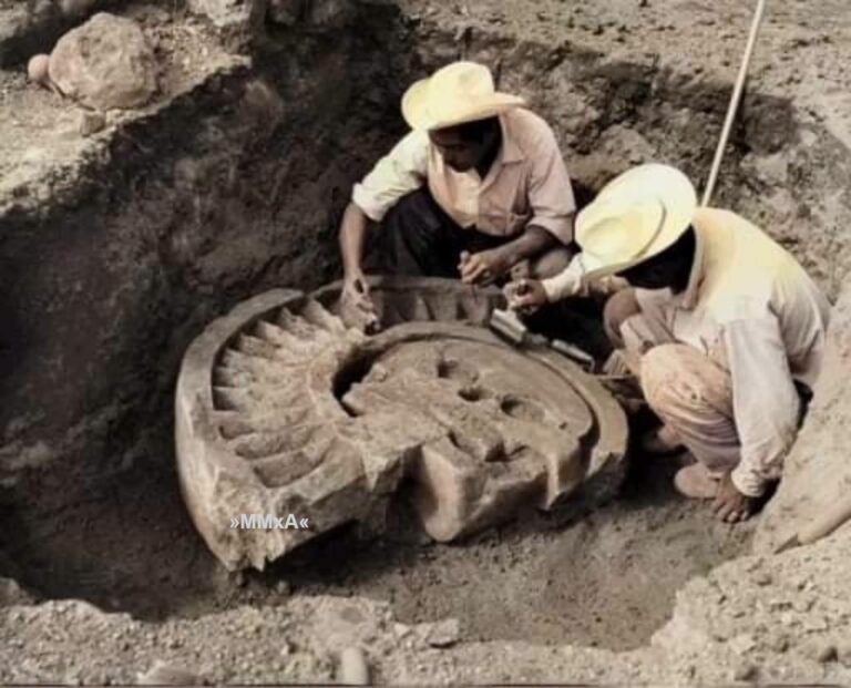 excavacion