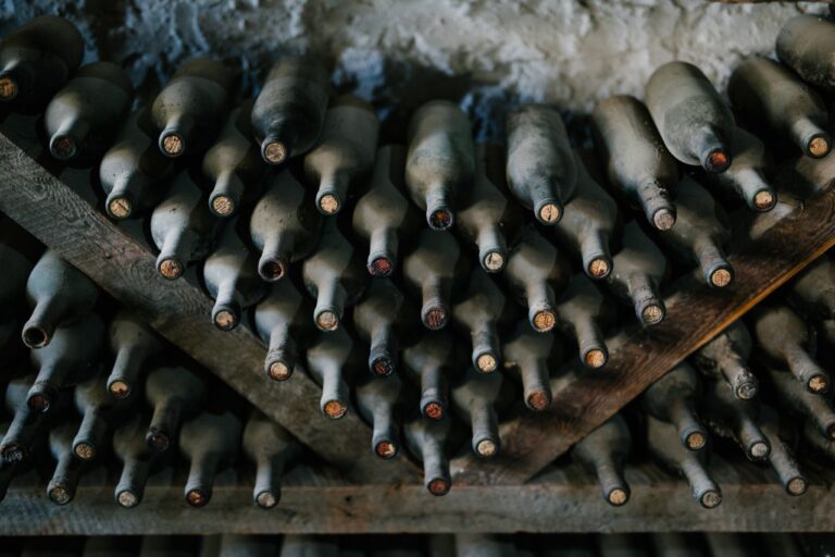 vinos 5